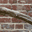 Key West, Florida - The Brick Wall and the Dry Root